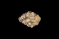 藏品(結螺)的圖片